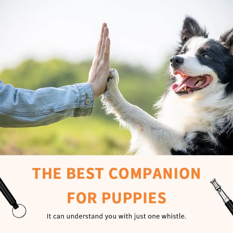 Dog Whistle, Adjustable Silent Training Whistle with Lanyard