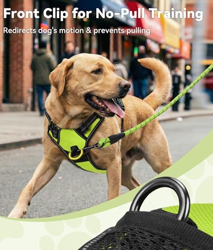Joytale No Pull Dog Harness Medium Sized Dog, Front Clip, Green