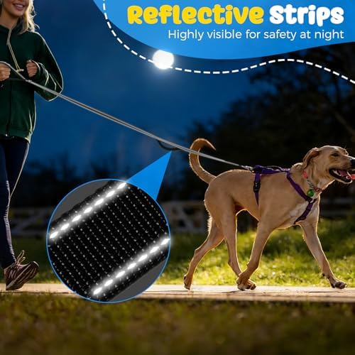 Heavy Duty Dog Leash with Easy Lock Metal Clip, Reflective, Padded Handle - Durable 6ft Walking Training Black Leash for Large, Medium, Small Dogs, Jogging, Hiking, and Outdoor Use