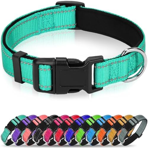 Reflective Dog Collar for Mediunm Dogs, Adjustable Collar with Soft Neoprene Padded, Durable Buckle for Daily Walking,Teal,M, 1" Width