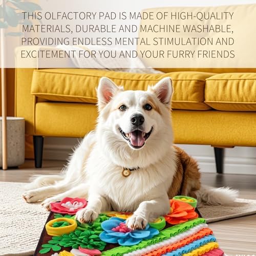 Slow Feeding Dog Snuffle Mat with Non Slip Bottom, Stress Relief and Training Foraging Mat Easy to Clean for Cats Dogs Rabbits Pigs