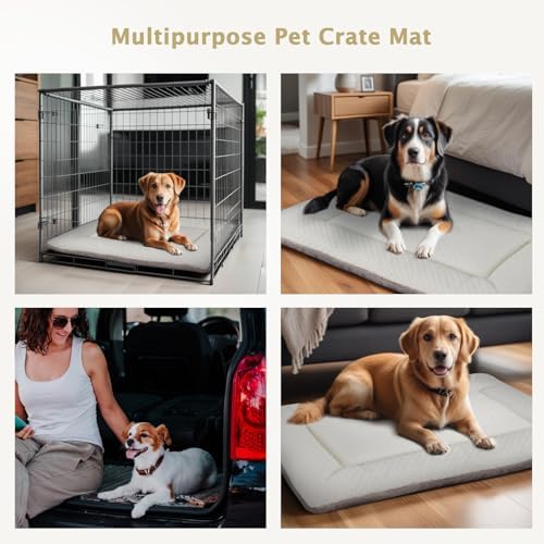 Dog Bed Mat, Crate Pad Reversible,Soft Kennel Washable Crate Mat (Cool and Warm),Pet Sleeping Mattress for Small Medium Dogs XB009 (30''x20'',Beige)