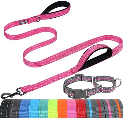 VIVAGLORY Double Handle Dog Leash Twingrip, 5ft x 1in, M2, Pink Grey