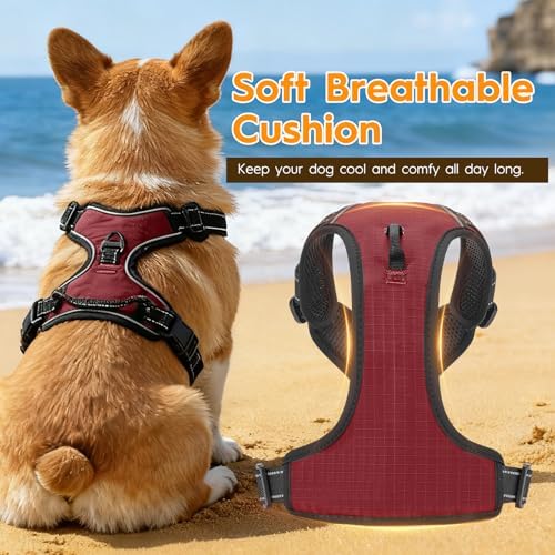 No Pull Dog Harness, No-Choke Soft Padded Reflective Dog Vest Harness with Front Clip & Top Handle, 2 Quick-Release Buckles, Adjustable for Small Medium Large Dogs