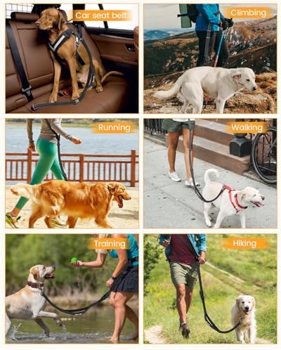 Hands Free Dog Leash with Car Seatbelt, Multifunctional Waist & Crossbody Dog Leash, 6.3-9.5Ft Adjustable 2-in-1 Handheld & Belt Design, Reflective Stitching for Medium & Large Dogs Walking, Running,