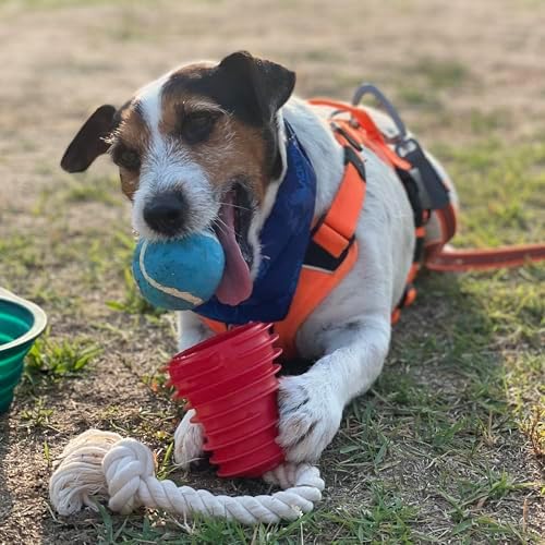 Made in USA Flingsy Dog Ball Launcher and Rope Tug Fetch Thrower Combination Throwing Toy with 100-Percent Natural Cotton Rope