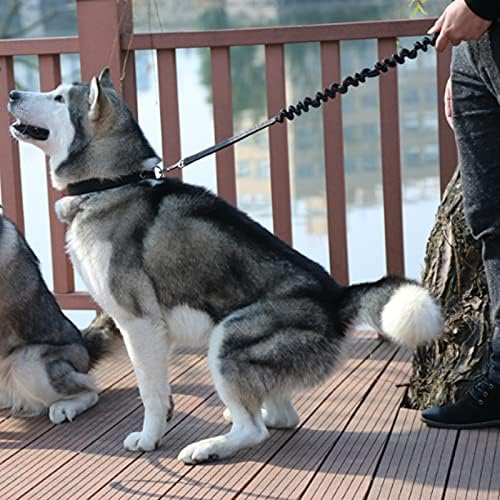 Hands Free Dog Leash, 1 PCS Dog Waist Belt with Leash Elastic Dog Running Belt with Waist Belt for Medium and Large Dog