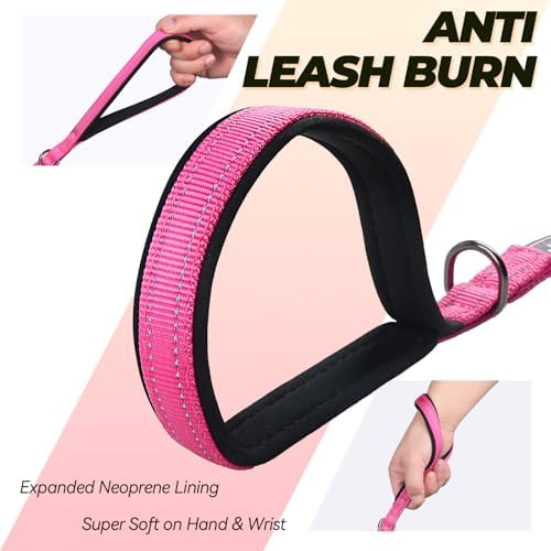 VIVAGLORY Double Handle Dog Leash Twingrip, 4ft x 1/2in, Pink-Carabiner