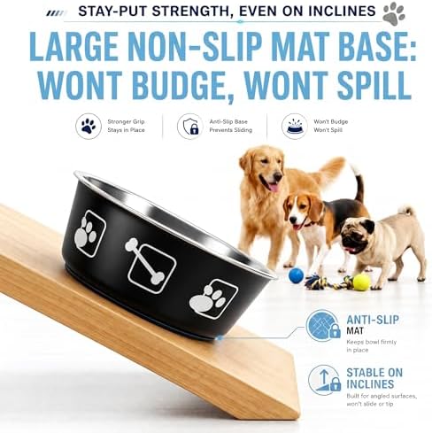 2-Pack Dog Bowls, Stainless Steel Pet Bowls, Thickened Rust-Proof Inner Bowl, Non-Slip Rubber Base, 2-in-1 Food & Water Bowl for Indoor Use (Black + Purple) (Black + Purple, M)