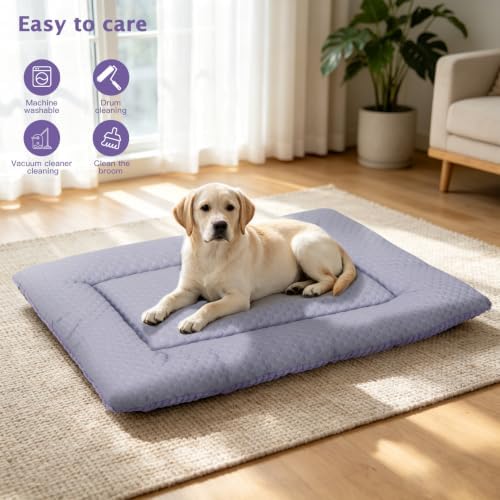 Dog Bed Mat, Crate Pad Reversible,Soft Kennel Washable Crate Mat (Cool and Warm),Pet Sleeping Mattress for Small Medium Dogs XB009 (36''x23'',Corn Velvet Purple)