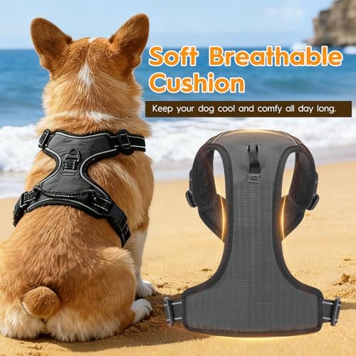 No Pull Dog Harness, No-Choke Soft Padded Reflective Dog Vest Harness with Front Clip & Top Handle, 2 Quick-Release Buckles, Adjustable for Small Medium Large Dogs