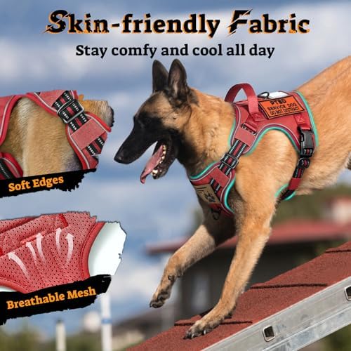 rabbitgoo Tactical Dog Harness Medium Sized, No Pull Service Pet Vest