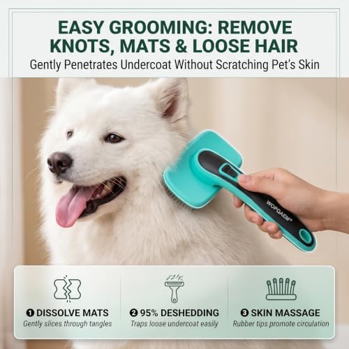 Self Cleaning Slicker Brush & Nail Clippers for Dog and Cats