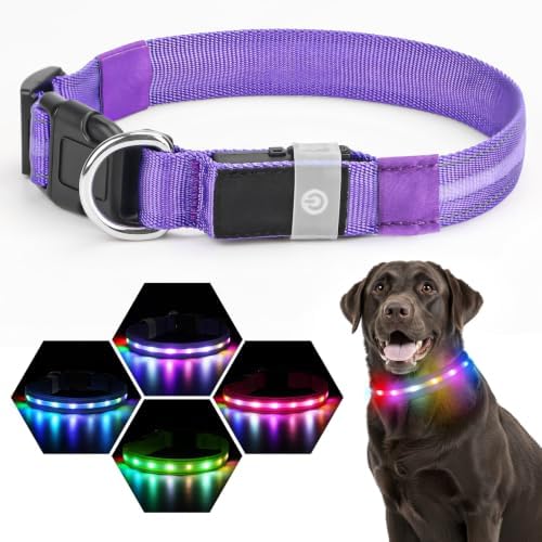 LED Dog Collar, RGB Light Up Dog Collar USB Rechargeable 6 Modes