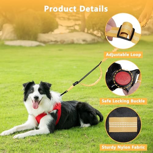 Hands Free Dog Leash with Zipper Pouch for Dog Walking