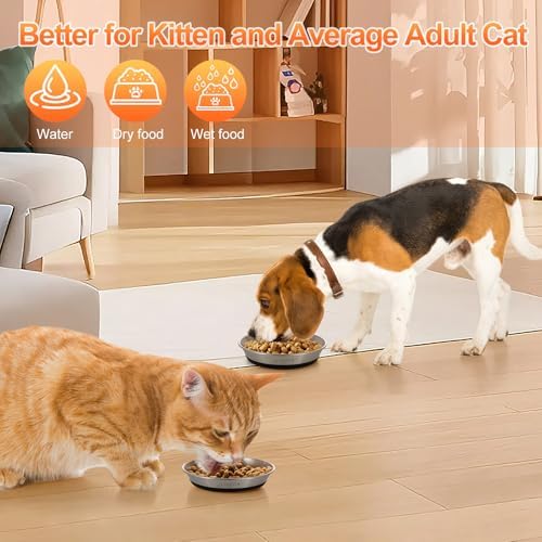 6 Pcs Stainless Steel Cat Bowls for Cats, Kittens & Small Dogs