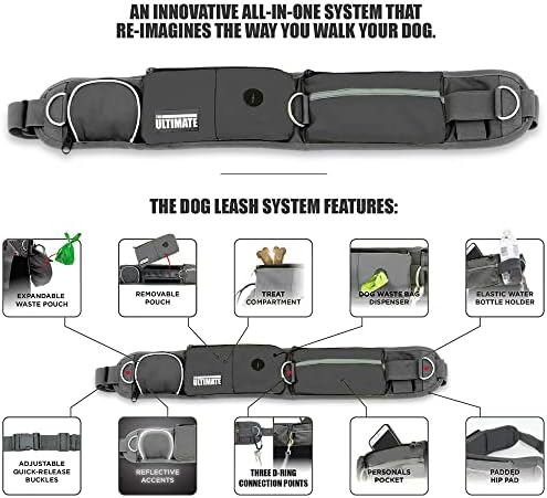 TAKSIN The Ultimate Hands Free Two Dogs Double Leash System for Walking Running Hiking Training, Reflective Bungee Leash, Treat Holder, Poop Bag Dispenser for Small Medium Large Dogs (Grey Pack)