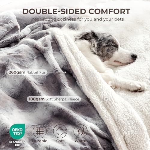 Waterproof Dog Blanket for Small Dogs, Dual-Sided Soft Pet Calming Blanket for Couch, Cozy Puppy Cat Blanket Fleece Washable, Reversible Throw Blanket for Furniture Protection, 25"x35", Grey