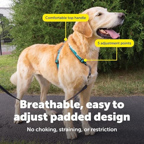 PetSafe Easy Walk 3 in 1 No Pull Dog Harness, Teal, Large