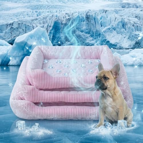 Dog Cooling Bed Summer Sleeping Cool Ice Silk Bed for Small, Medium, Large Dogs & Cats Breathable Washable Pet Beds with Non-Slip Bottom Blue (Pink, X-Large)