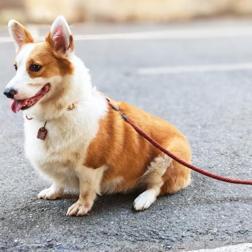 MayPaw Heavy Duty Rope Dog Leash, 3/4/6/7/8/10/12/15/20/30 FT Nylon Pet Leash, Soft Padded Handle Thick Lead Leashes for Large Medium Dogs (red Black, 1/2" * 10')