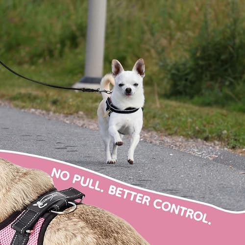 No Pull Reflective Adjustable Dog Harness With Handle- Comfortable Soft All Weather Mesh, Easy On Puppy Harness For Small Medium and Large Dogs (Pink) X-Small