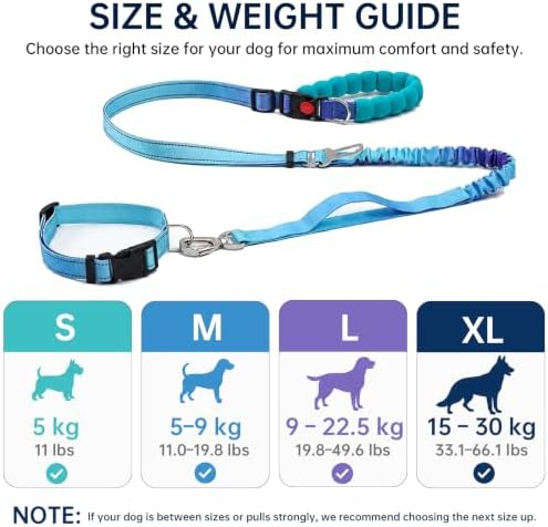 Hands Free Dog Leash and Collar Set, Shock Absorbing Tactical Leash with Padded Control Handle, Adjustable Nylon Collar for Medium Large Dog Running Waist Leashs for Walking (Blue, XL(33lb~66lb))