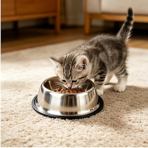 Stainless Steel Dog Bowls, Non-Slip Pet Food Water Bowls 2 Pack, Dishwasher Safe for for Cats Puppies Small Medium Large Dogs (Stainless Steel, ¾ Cup / 7 oz)