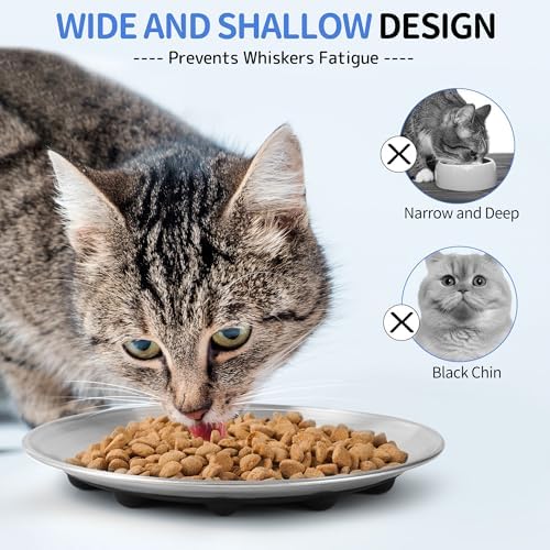 Stainless Steel Cat Dishes, Nonslip Cat Food Bowl Set, Cats Bowls or Plates