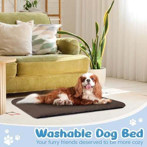 Dog Crate Pad, Washable Cozy Dog Bed Mat for Medium Dogs 36"x23", Brown