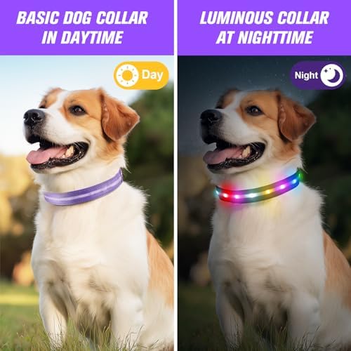 LED Dog Collar, RGB Light Up Dog Collar USB Rechargeable 6 Modes