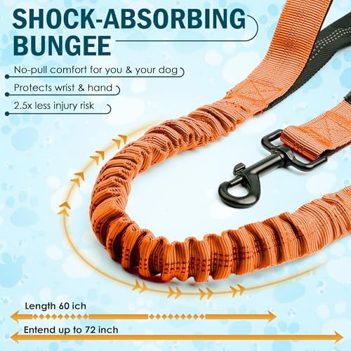 Hands Free Dog Leash with Waist Belt – No-Pull Bungee, Dual Padded Handles & Zipper Pouch for Running, Walking & Training – Adjustable Waist Leash for Large & Medium Dogs