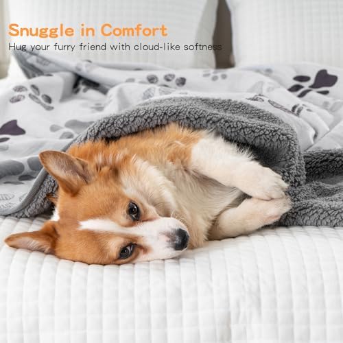Waterproof Pet Blanket for Small Dogs and Cats 30"x40"