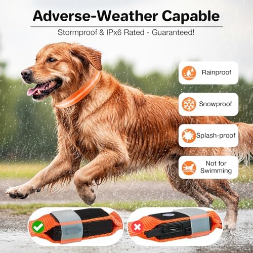 Light Up Dog Collar, Rechargeable 6 Modes, Waterproof Charging Port