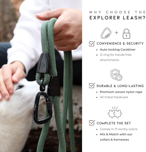 MADE TO ROAM Premium Explorer Leash - Climbing Rope Leash with Autolocking Aviation Aluminum Carabiner - Virginia Mountains, 6ft