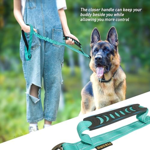 AUBELL Tactical Dog Leash Heavy Duty,4-6ft No Pull Bungee Leash,Teal