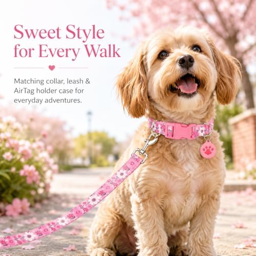 Floral Matching Dog Collar and Leash Set with AirTag Holder-Pink Daisy/L