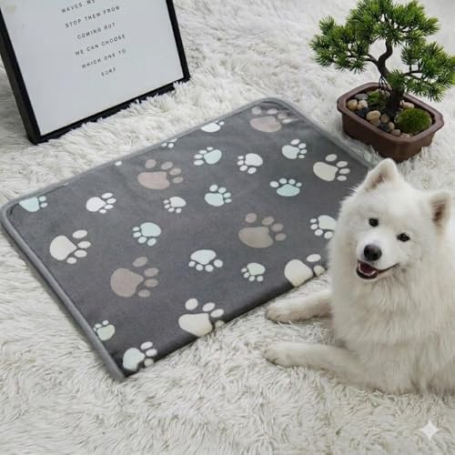 CADONO Fluffy Premium Flannel Dog Blanket Washable Paw Printed Throw for Small Medium Large Dog Cat(55"x40" White)