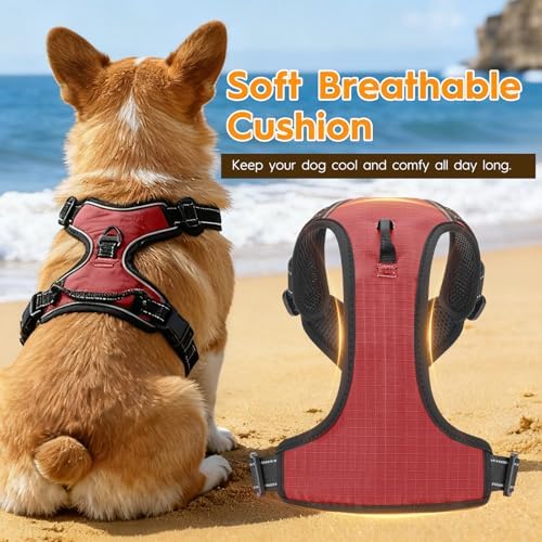 No Pull Dog Harness, No-Choke Soft Padded Reflective Dog Vest Harness with Front Clip & Top Handle, 2 Quick-Release Buckles, Adjustable for Small Medium Large Dogs