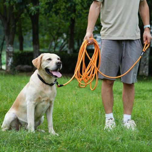 Long Dog Leash, 10ft 30ft 50 feet Heavy Duty Dog Training Leash, Aviation Aluminum Auto Locking Carabiner, Nylon Rope Long Line Check Cord Recall Lead for Yard,Playing,Camping,Yellow,50FT