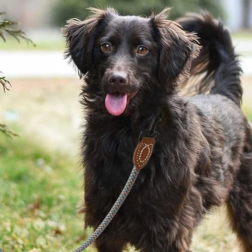 Mile High Life Dog Leash with Genuine Leather-Wrapped Ends, 4/5/6FT
