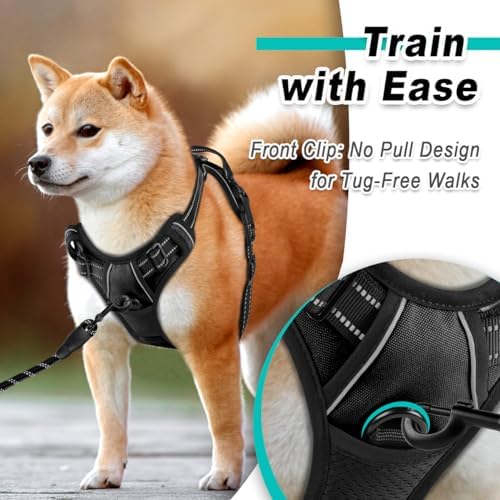 BARKBAY Dog Harness for Medium Sized Dog No Pull 2 Leash Clips Dog Vest