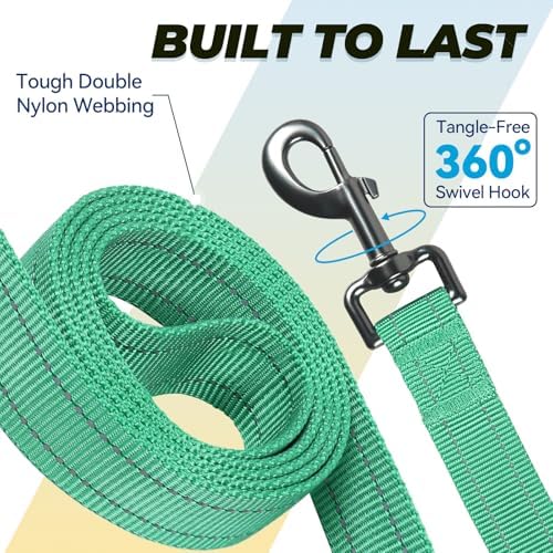 VIVAGLORY Double Handle Dog Leash Twingrip, 6ft x 1in, Turquoise