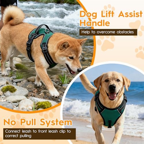 No Pull Dog Harness, No-Choke Soft Padded Reflective Dog Vest Harness with Front Clip & Top Handle, 2 Quick-Release Buckles, Adjustable for Small Medium Large Dogs