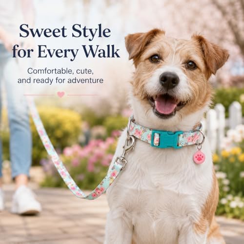 Floral Matching Dog Collar and Leash Set with AirTag Holder-Lily Daisy/XS