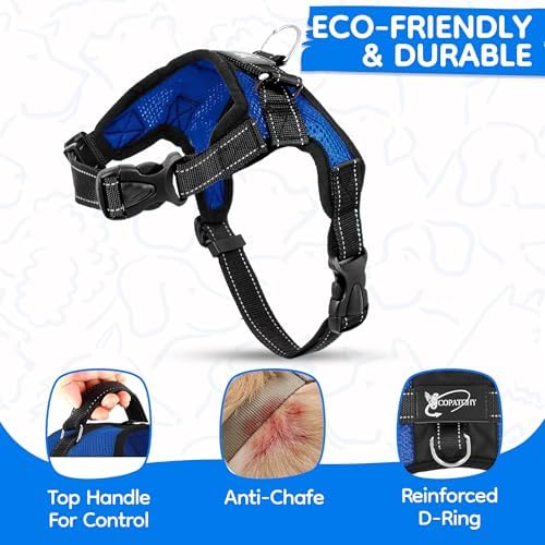 No Pull Reflective Adjustable Dog Harness With Handle- Comfortable Soft All Weather Mesh, Easy On Puppy Harness For Small Medium and Large Dogs (Blue) XX-Small