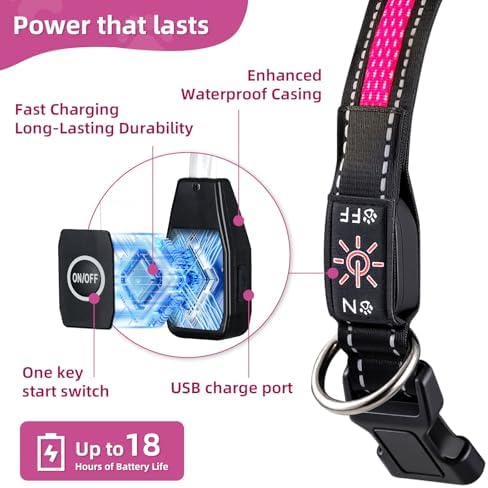 Light Up Dog Collar: Rechargeable Waterproof Safety Pet Accessories - Glow in The Dark Dogs Collars for Night Walking - Best Flashing Neon Pink Lights and Glowing Lighted Gear in Nite Time