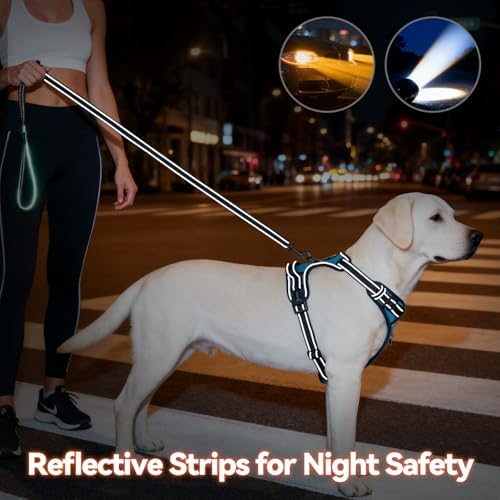 PHOEPET No Pull Dog Harnesses for Small Puppies Reflective Adjustable