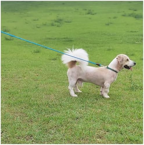 MayPaw Small Rope Dog Leash 6FT 8FT 10FT, 1/4 in Lightweight Pet Leash for Small Dogs/Puppy, Classic Colors Round Dog Lead (8ft*1/4", Blue)
