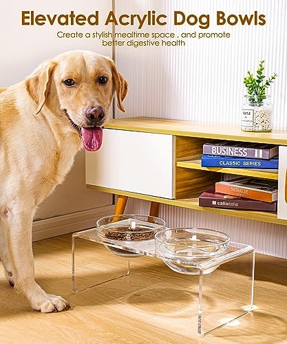 Acrylic Elevated Dog Cat Bowls Pet Feeder Double Bowl Raised Stand Comes with 2 Removable Glass Bowls and 2 Stainless Steel Bowls.Perfect for Large Dogs, 7.2" Tall